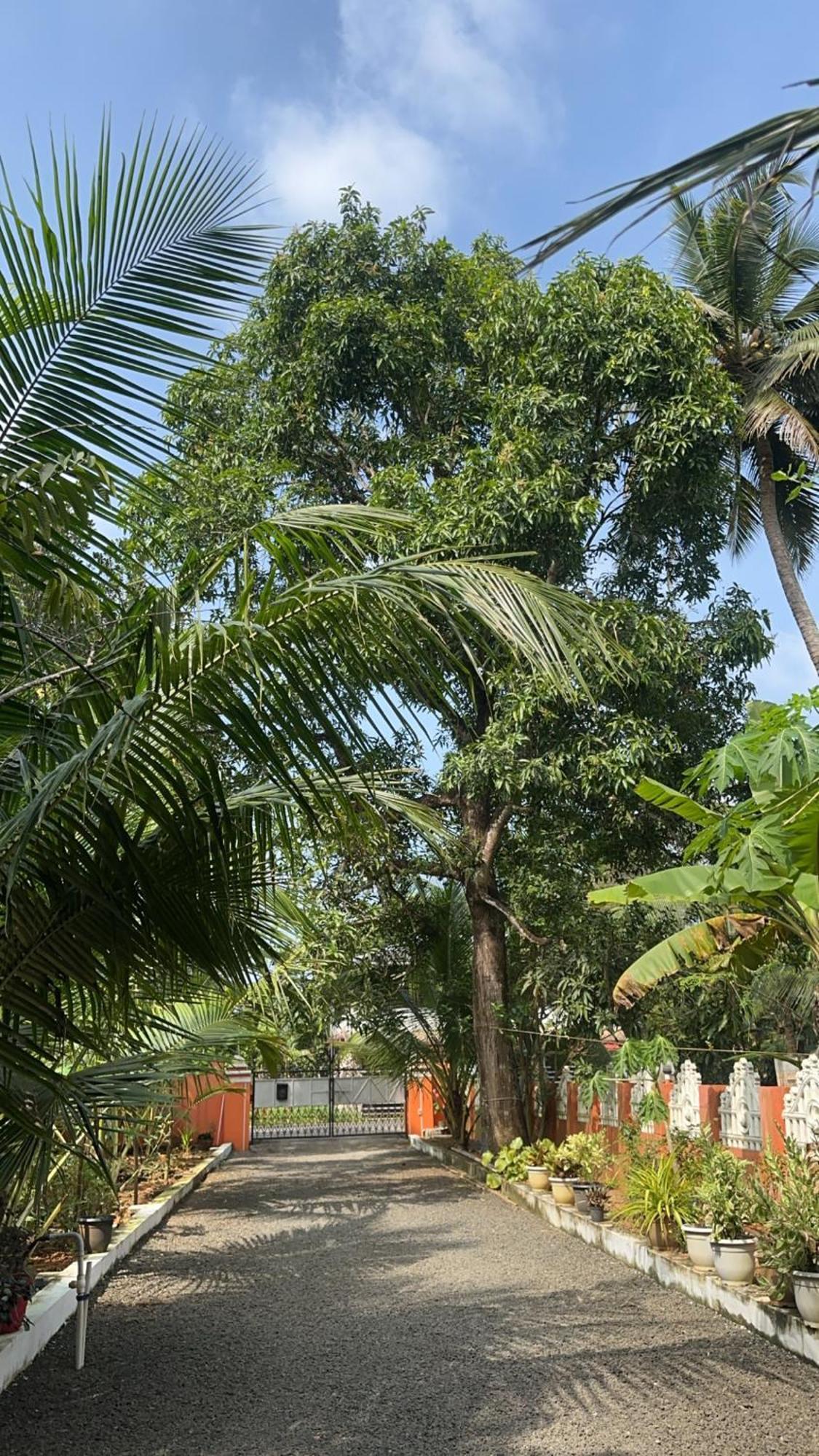 Prabhalayam Apartment Kottayam Ngoại thất bức ảnh