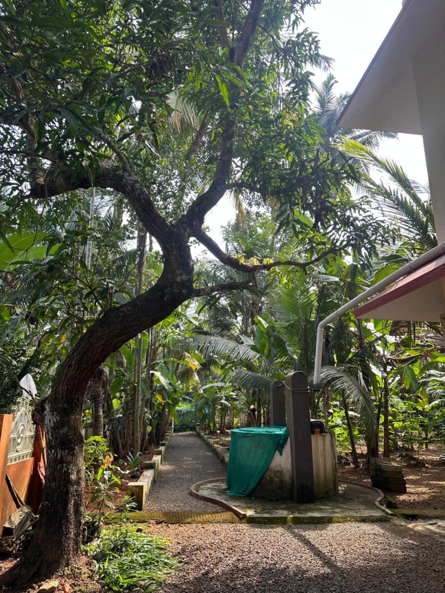 Prabhalayam Apartment Kottayam Ngoại thất bức ảnh